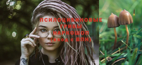 синтетический гашиш Белокуриха